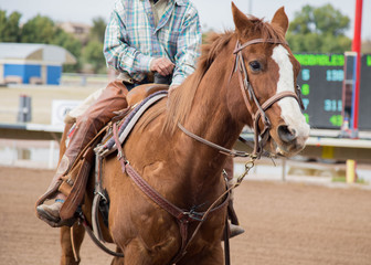 man horseback riding on a brown horse on a race track. 