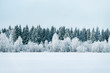 Leinwandbild Motiv Snowy countryside and forest in winter Rovaniemi