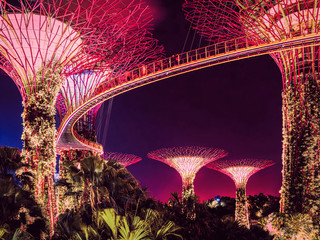 Wall Mural - Trees at Gardens by Bay at Singapore city at night