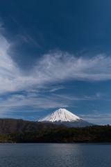 Wall Mural - 西湖湖畔からの青木ヶ原樹海と富士山