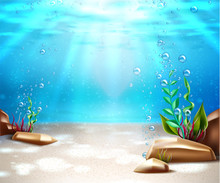Vector Underwater Life Sea Bottom Scene Background