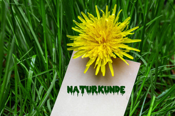 Poster - Naturkunde