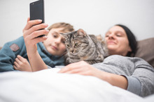 Familie mit Katze schaut ins Handy