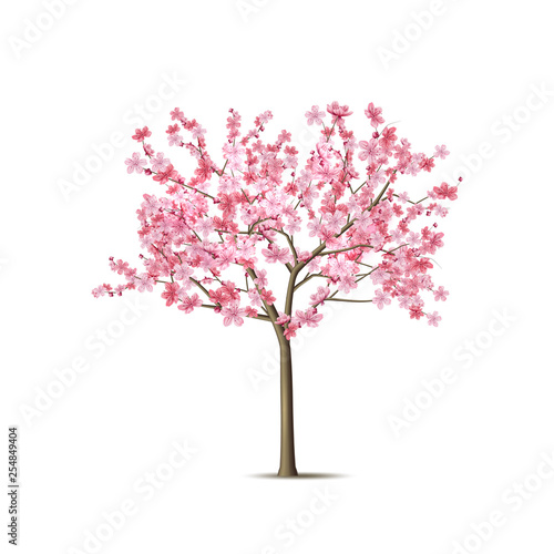 Fotomural Vector realistic sakura tree with pink petal