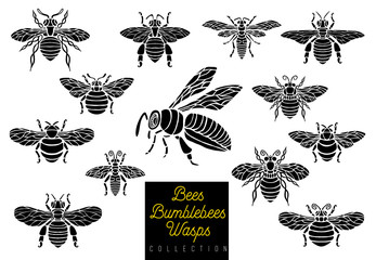 Wall Mural - Honey bee bumblebees wasps set sketch style monochrome collection insert wings emblem symbols Hand drawn vector engraving illustration