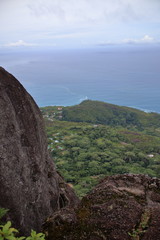 Poster - seychelles rainforest