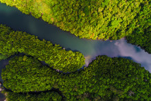 Aerial View Of Mangrove Tropical Rainforest With River From Mountain To Sea