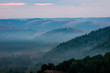 © Павел Чигирь - Pine forest is a valley shrouded in fog in the rays of dawn. Muradymovsky gorge