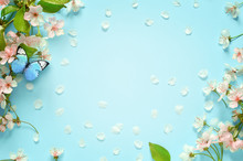 Beautiful Spring Nature Background With Butterfly, Lovely Blossom, Petal A On Turquoise Blue Background , Top View, Frame. Springtime Concept.