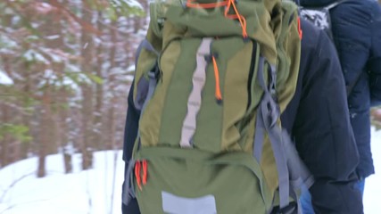 Wall Mural - A group of travelers with backpacks on their shoulders walks through a winter forest covered with snowdrifts in a natural park. Slow motion.