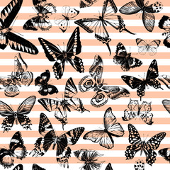 Wall Mural - Striped seamless pattern with hand drawn butterflies