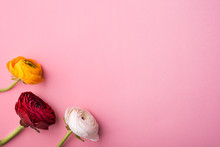 Three Colorful Flowers On A Pink Background. Copy Space.