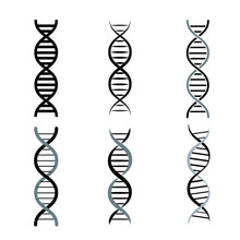Set Of DNA Symbols. Illustration Of Deoxyribonucleic Acid.