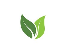 Green Leaf Ecology Nature Vector Icon