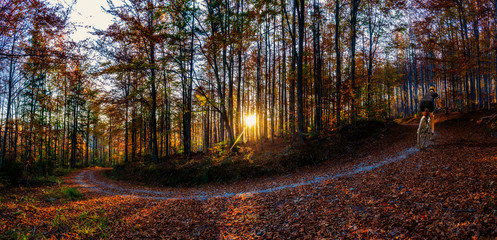 Poster - Cycling in golden shine trail foggy scene in the park, woman riding on bike the morning sun shining through the trees, blue sky in background.