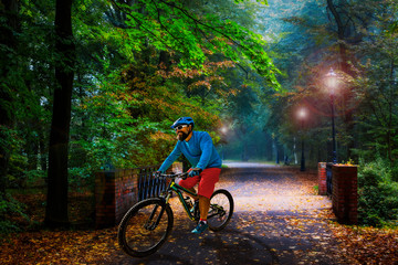 Poster - Cycling in golden shine trail foggy scene in the park, man riding on bike the morning sun shining through the trees, blue sky in background.