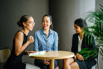 Three professional women of different ethnic backgrounds are sitting down and having a meeting around a table in a meeting room during the day. All of them are professionally and competently dressed.