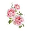 Watercolor rose composition