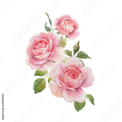 Cuadros en Lienzo Watercolor rose composition