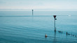Lake Constance with copyspace, swan and poles