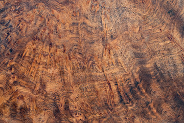 real burl wood striped for picture prints interior decoration, exotic wooden beautiful pattern for c