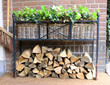 Neat stack of logs against a wall, beneath a basket of plants