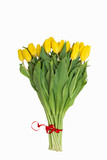 Fototapeta Tulipany - Yellow tulips isolated on white background. View from above. Close-up.