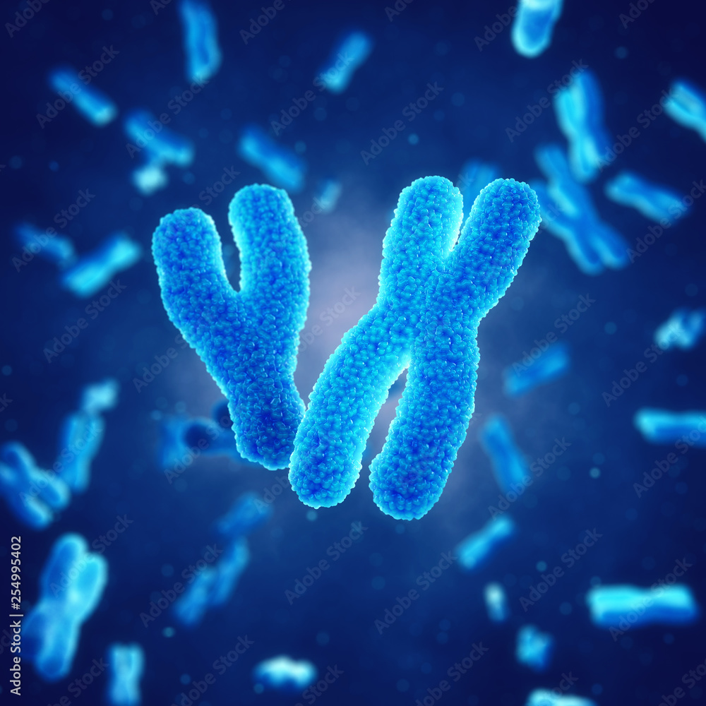 X and Y chromosomes , Genetic disorders and gene therapy - obrazy, fototapety, plakaty 