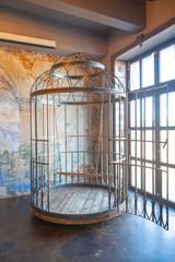 iron huge round human cage with a swing inside. bdsm furniture made of steel