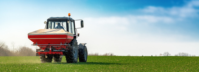 Agricultural tractor fertilizing wheat crop field with NPK