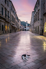 Stradun, La Rue Principale De La Ville Ville De Dubrovnik En Croatie (avec Un Chat)