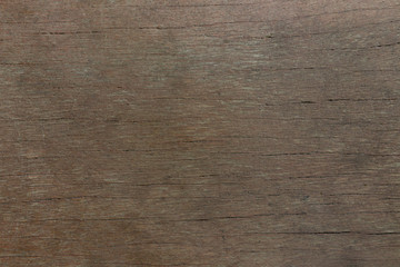 closeup of wood texture