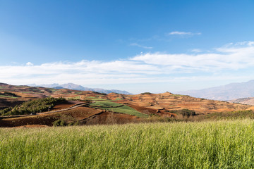 Wall Mural - yunnan red land