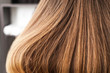 © Pixel-Shot - Healthy long hair of young woman