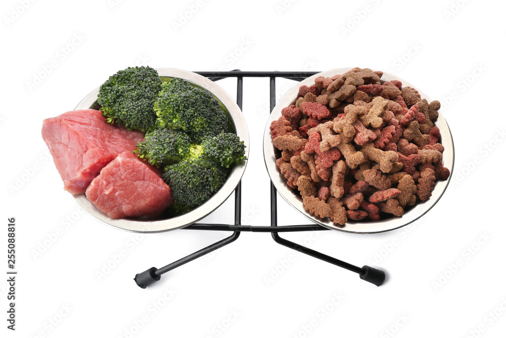 Bowls with dry and fresh pet food on white background