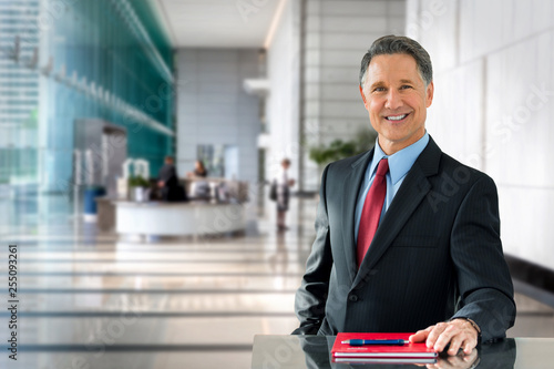 Corporate banking advisor, professional investment manager, businessman, greetin Poster Mural XXL
