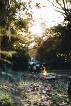 Motorcycle Camping At Mirimbah Near Mt Buller In Victoria, Australia. Triumph Bonneville And Campfire In The Forest Basking In The Beautiful Sunlight.