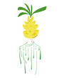 © Anna - pineapple head creative character
