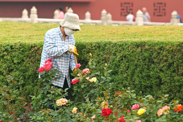 Canvas Print - CHINE pollution air carbone co2 santé parc jardin