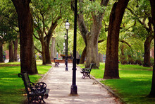 A Beautiful Walkway Through A Park With Tree Lining The Path With Light Posts In The Center Leading To A Fountain In Charleston, South Carolina.