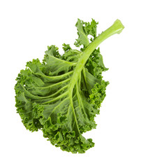 Poster - kale isolated on white