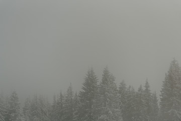 Naklejka na meble Winter Landscape wanderlust background