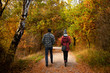 Spaziergang im Herbst - Wandern im Wald