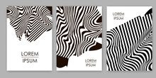 Black Lines. Zebra Backgrounds Set. Templates For Cover, Card, Banner, Poster.