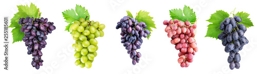 Branch of grapes isolated on white background Poster Mural XXL
