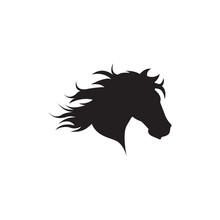 Horse Head Vector Illustration