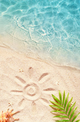 Summer background with green palm leaf and shell. Beach texture. Copy space.