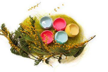 Pastel colored easter eggs in a egg box with a mimosa on white background