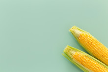 Corn Cob On Pastel Green Glass Sheet Photo From Above