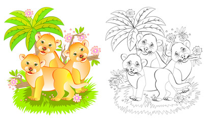 Wall Mural - Fantasy illustration of three cute little lions in the jungle. Colorful and black and white page for coloring book. Printable worksheet for children and adults. Vector cartoon image.